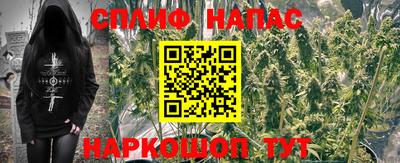 стафф Дубна