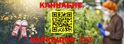 стафф Дубна