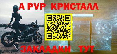 стафф Дубна